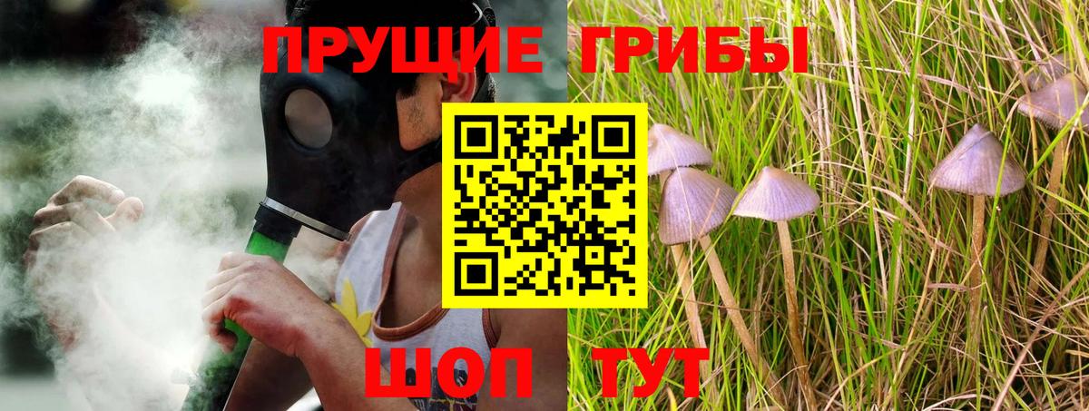 Галлюциногенные грибы мицелий  Вход с VPN  купить наркоту  Жигулёвск 
