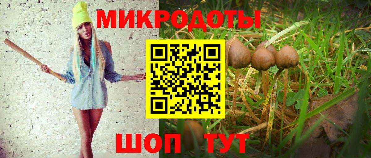 Галлюциногенные грибы мухоморы Жигулёвск